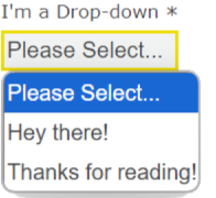 Dropdown menu with three options